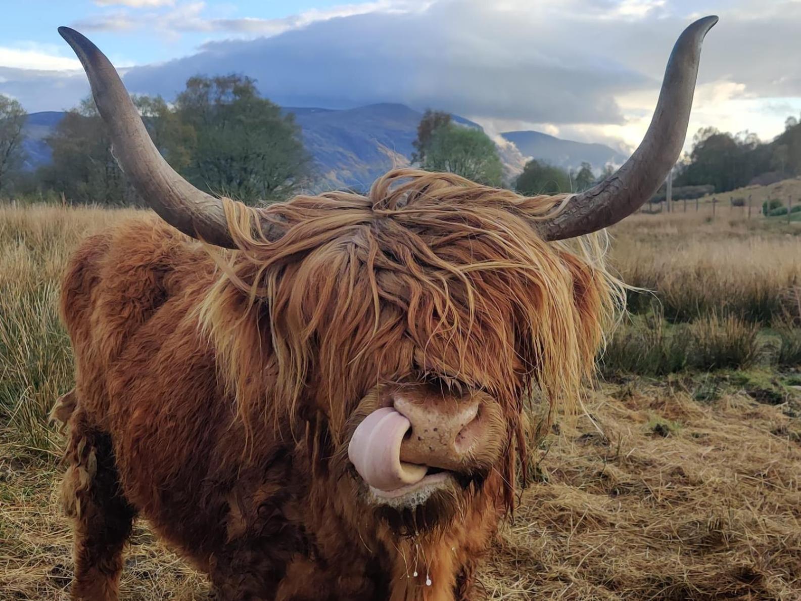 Springburn Farmhouse Spean Bridge Εξωτερικό φωτογραφία